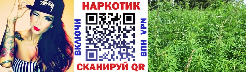 Где купить наркоту Ставрополь Кокаин  Меф  Канабис 