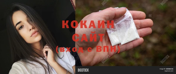 шишки Магадан