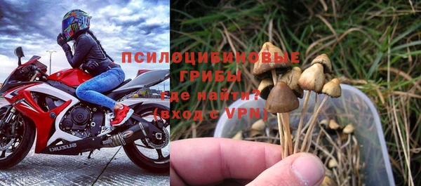 прущие грибы Лихославль