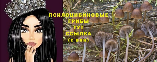 прущие грибы Лихославль
