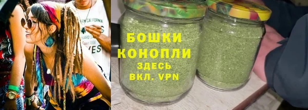 прущие грибы Лихославль