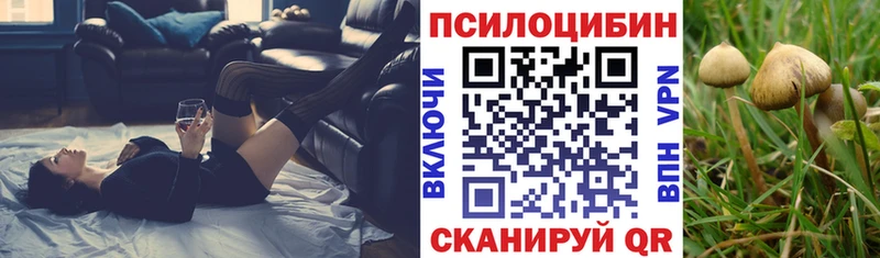 где купить   Ставрополь  darknet наркотические препараты  Галлюциногенные грибы прущие грибы 