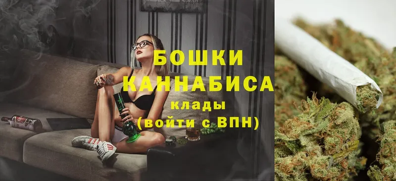 Канабис SATIVA & INDICA  купить наркоту  Ставрополь 